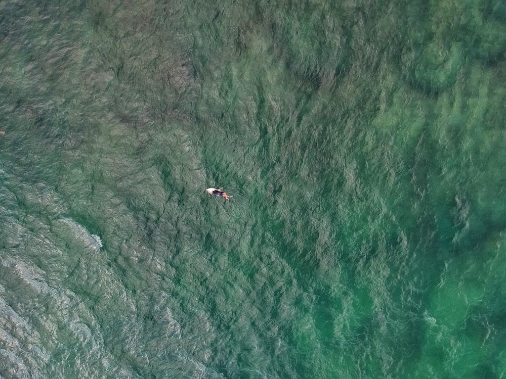 top-view photo of person on top of surfboard on body of water