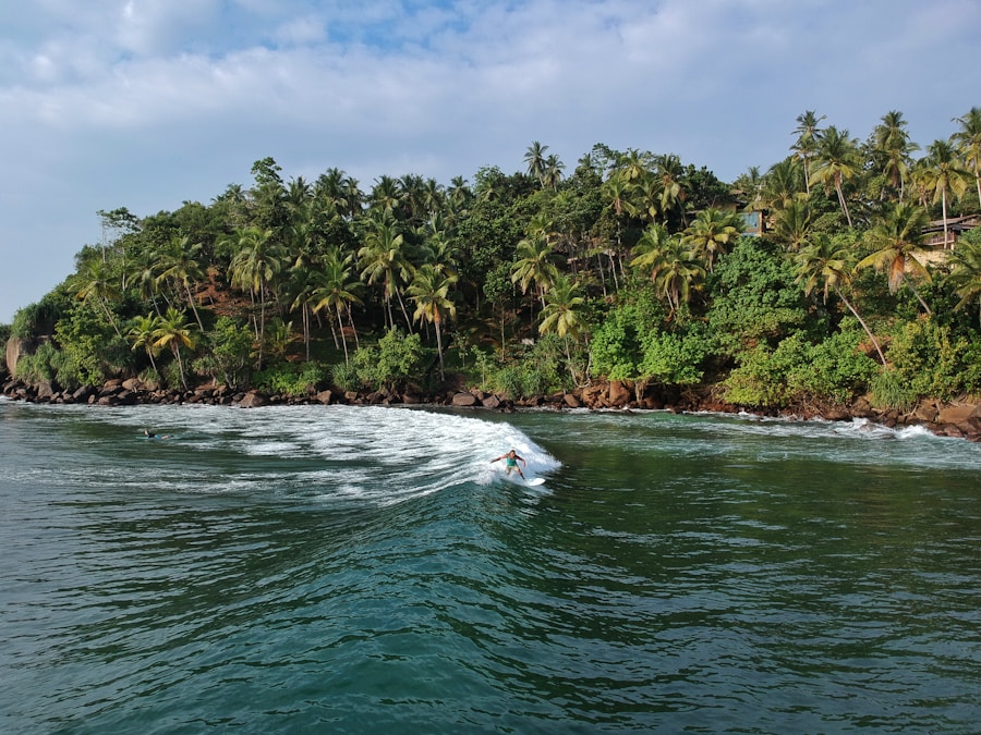 Surfer riding a wave along a palm-fringed Sri Lankan coast