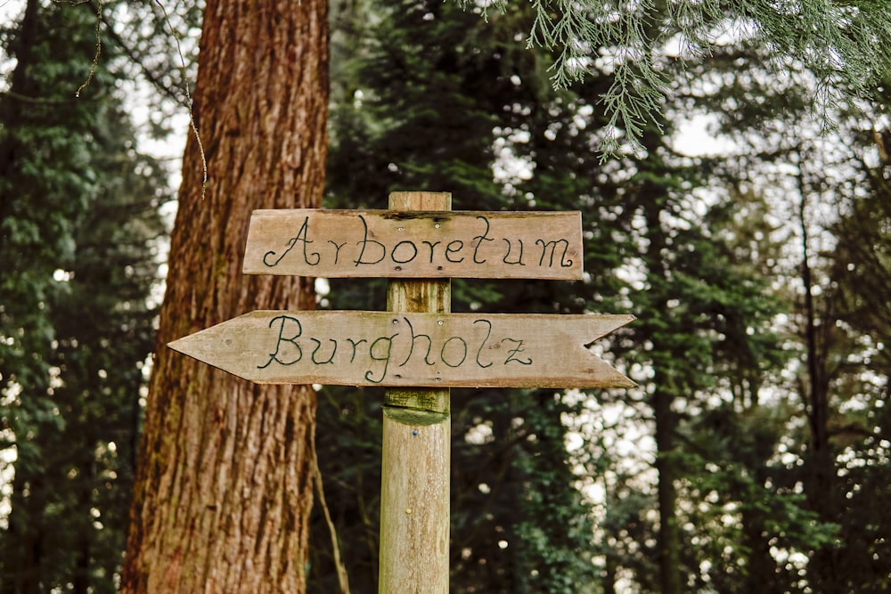 Arboretum y letrero de madera de Burgholz en el bosque