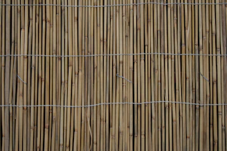 Close-up of a finely woven bamboo chick rolled neatly beside a bright window.