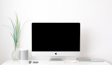 white iMac powered off sitting next to green plant on desk