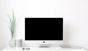 white iMac powered off sitting next to green plant on desk