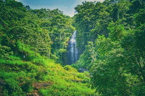 Tourists exploring the lush greenery and waterfalls of Taman Negara rainforest