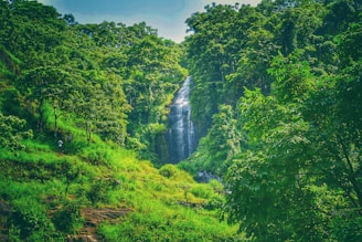 Tourists exploring the lush greenery and waterfalls of Taman Negara rainforest