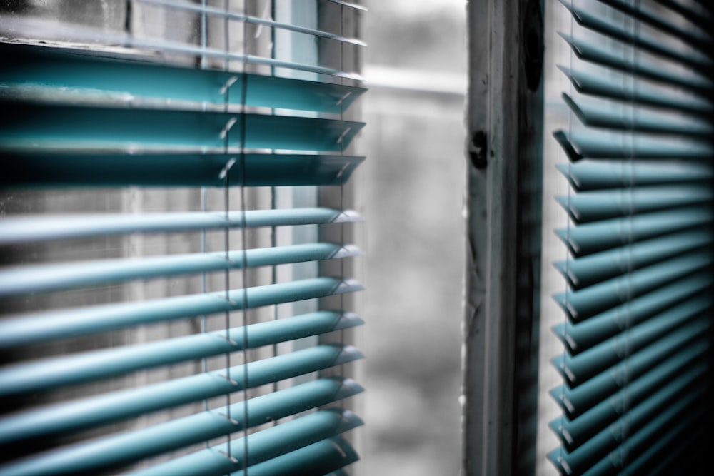 green window blinds