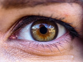 A close-up view of a human eye featuring detailed textures of the iris and surrounding skin. The iris displays a range of brown and amber hues with a clear and reflective surface showing some reflections. Fine eyelashes and natural skin textures are visible around the eye.