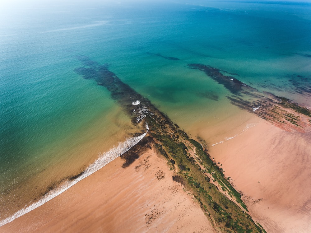 aerial view of green leafed trees near body of water