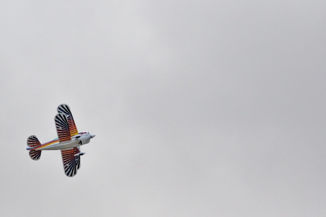 white and orange bird flying