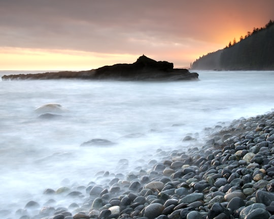 Juan de Fuca Marine Trail things to do in Port Renfrew