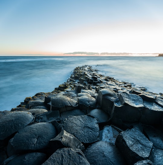 rock formation on body of water in Giant's Causeway United Kingdom