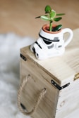 green plant in stormtrooper pot