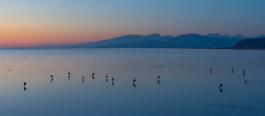 travelers stories about Lake in Iona Spit Trail, Canada