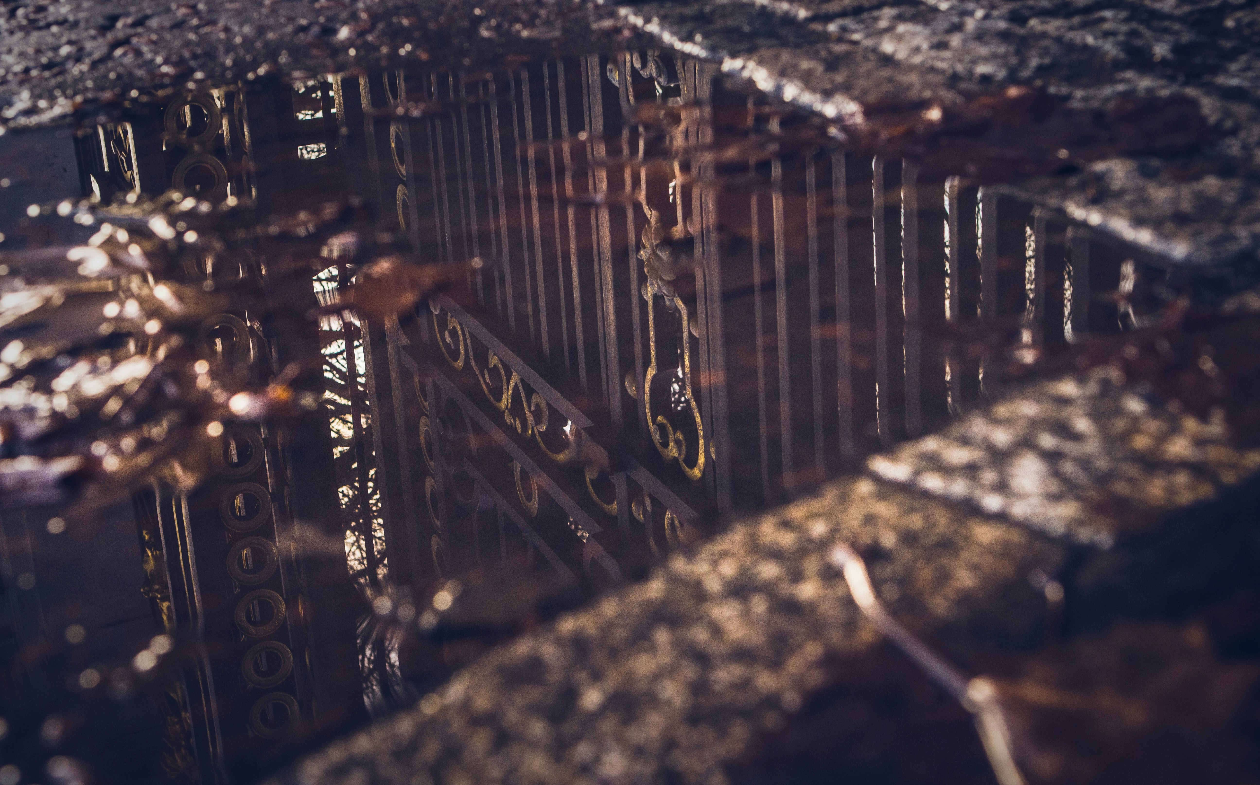 Photo by hatcreative