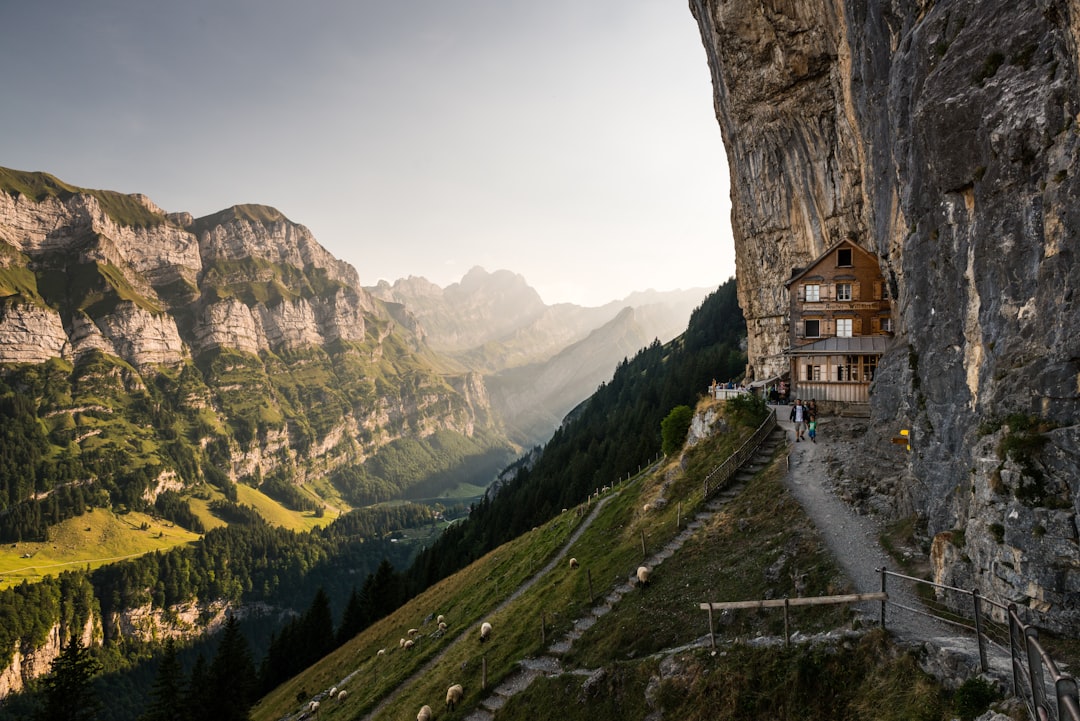 brown cabin near mountain, aescher guesthouse