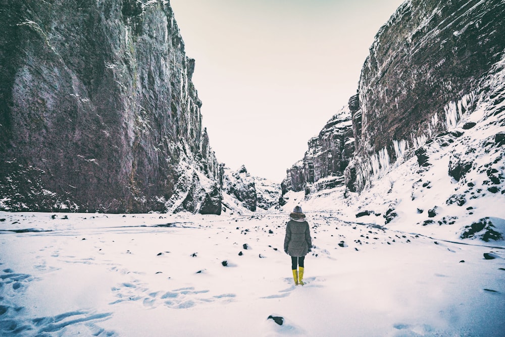 femme portant un manteau gris debout entre la montagne recouverte de neige