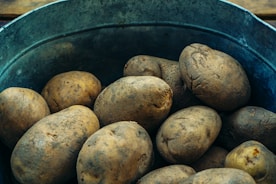 A collection of unpeeled, raw potatoes is placed in a large, rustic metal bucket. The surface of the potatoes is slightly rough and dirty, indicative of freshly harvested produce.
