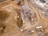 aerial photography of dump trucks