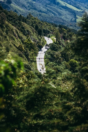 A winding road cuts through a lush, green mountainous landscape. Tall trees and dense vegetation surround the road, creating a vibrant and natural setting. A few cars are visible, driving along the road, giving a sense of movement and travel.