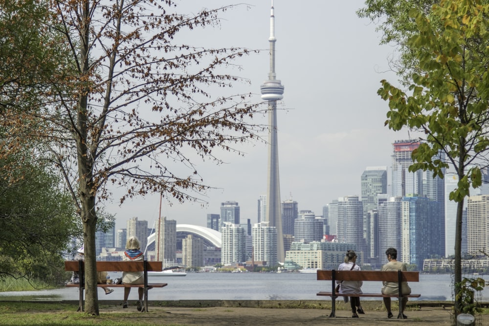 four people sits on park benches across city scape