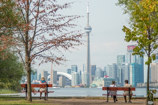 four people sits on park benches across city scape in Toronto Islands Canada