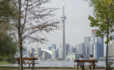 four people sits on park benches across city scape