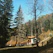 A cozy modular park home nestled among tall trees with a bright blue sky overhead.