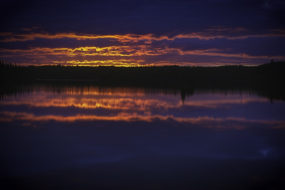 silhouette of trees beside body of water during sunset