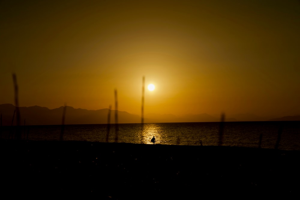 silhouette photo of person walking near body of water during sunset