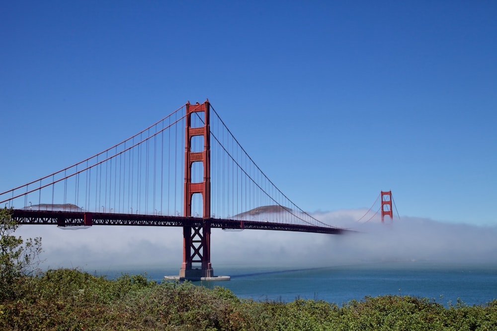landscape photo of foggy bridge