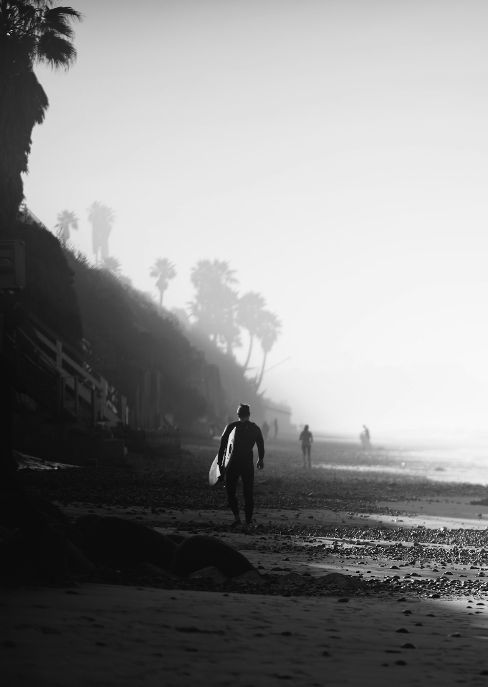 silhouette of person holding surfboard on shoreline