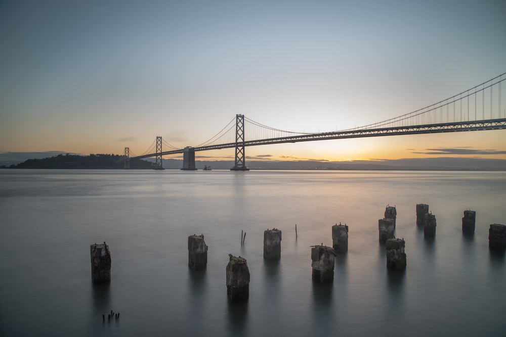 photography of bridge