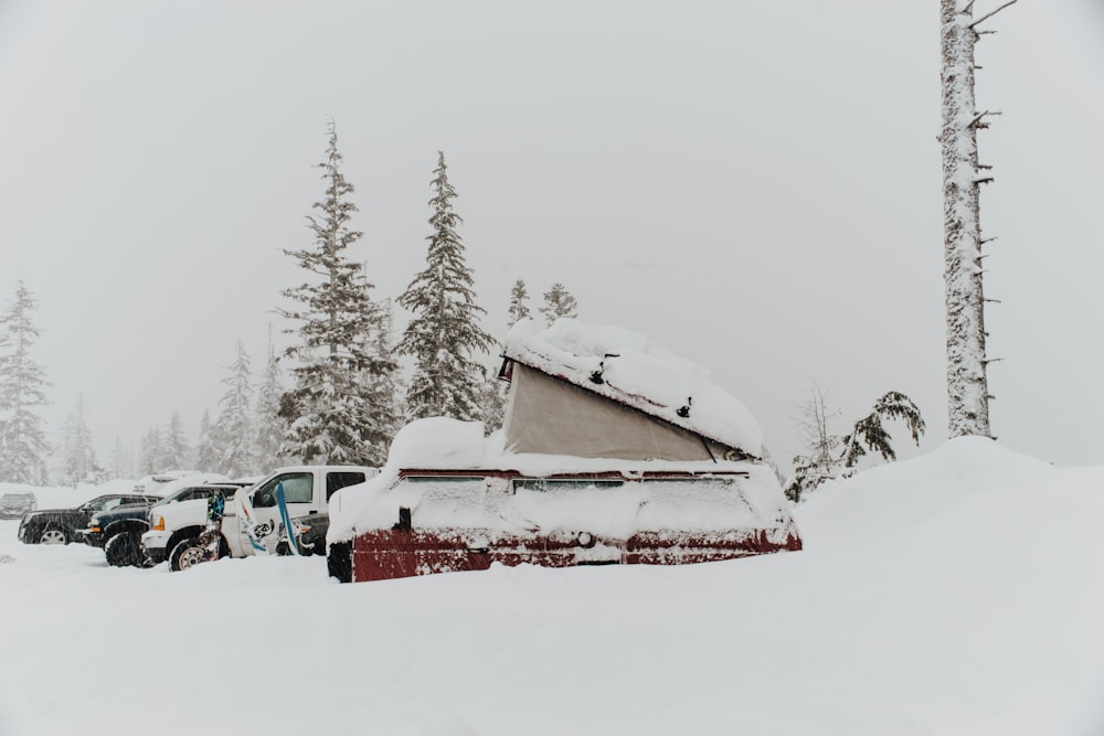 snow-covered red and white cars