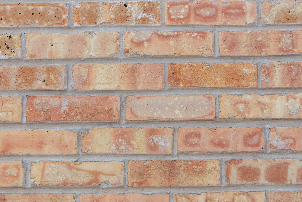 close-up photo of brown brick wall