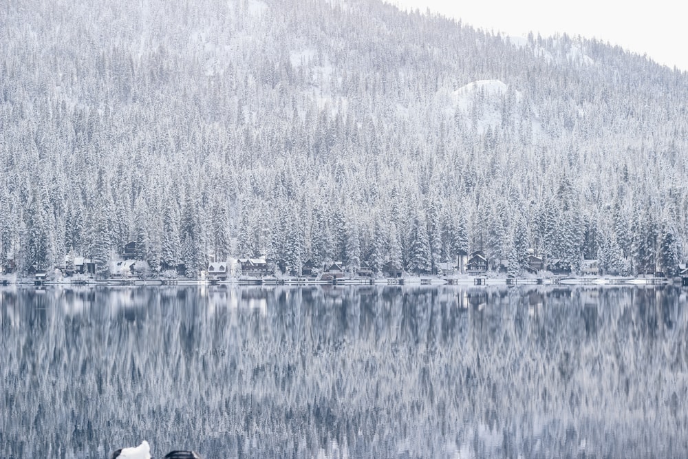 mountain with trees covered with snows near body of water