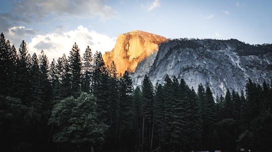 forest and view of mountain during daytime in Yosemite National Park United States