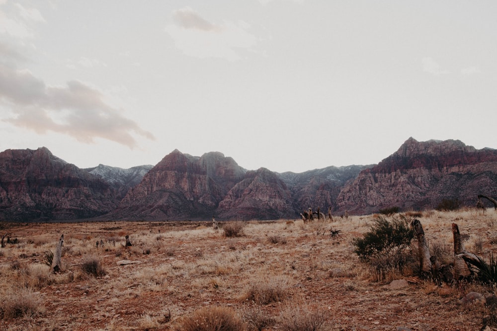 soil and mountain covered field