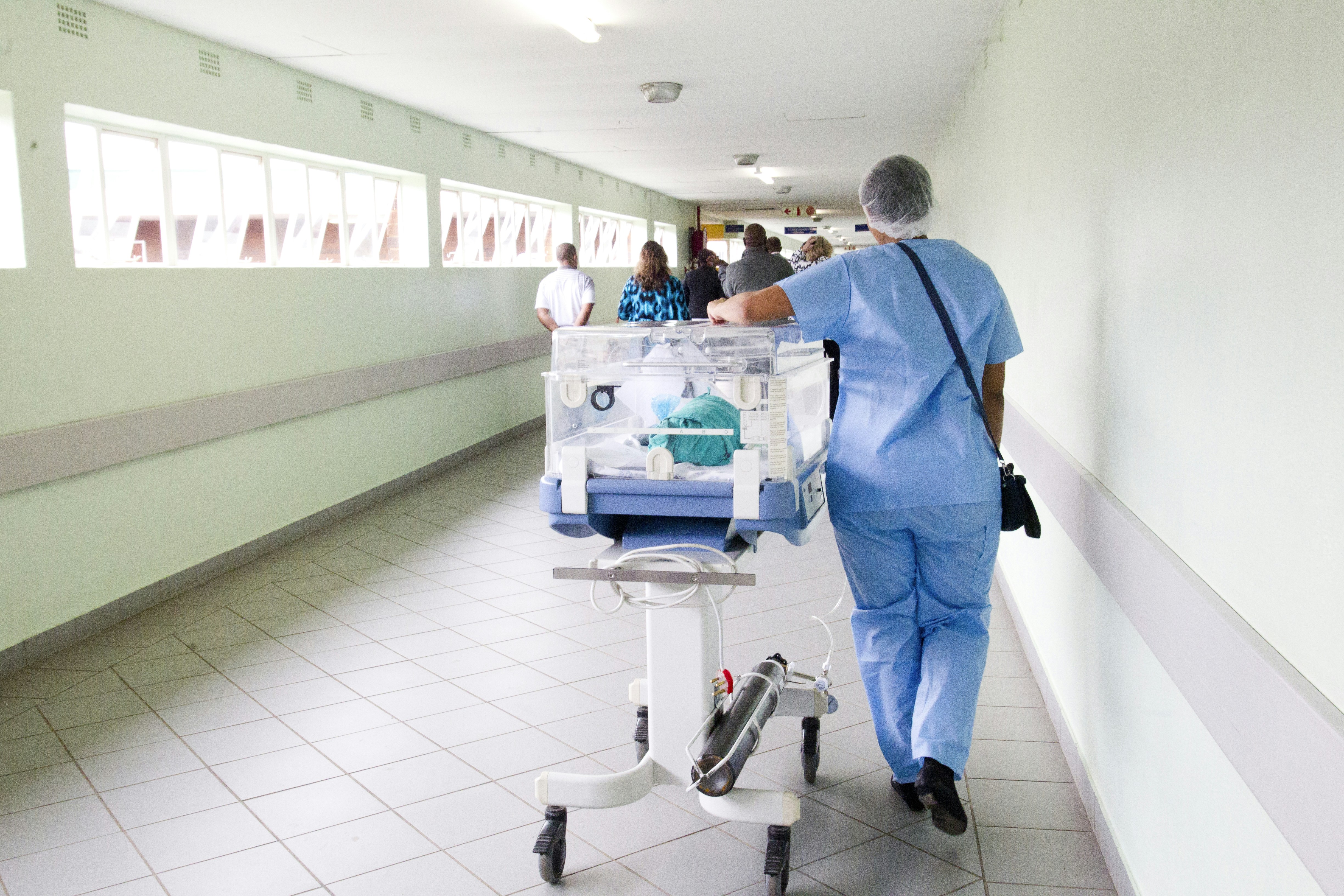 Servicio Profesional de Salud