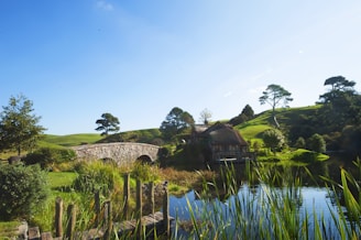 body of water surrounded green plants during daytime