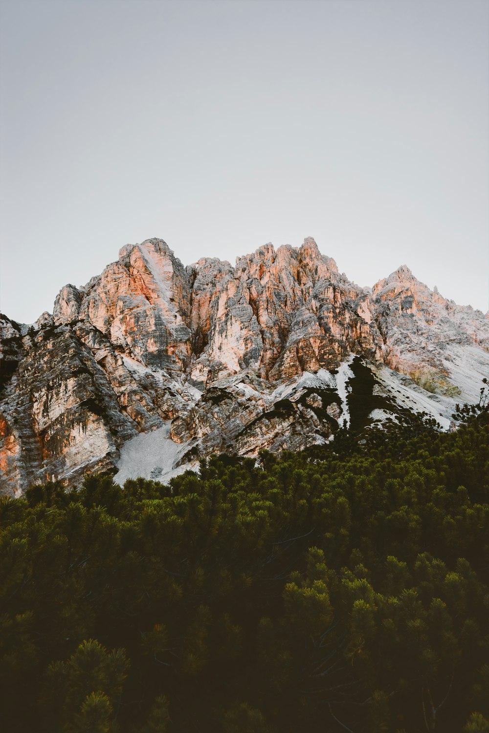 trees below mountain