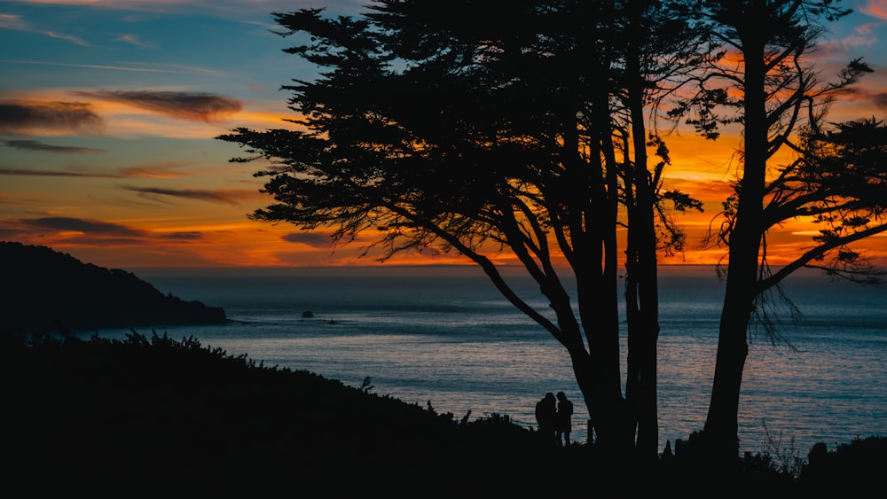 silhouette photograph of two person near lake