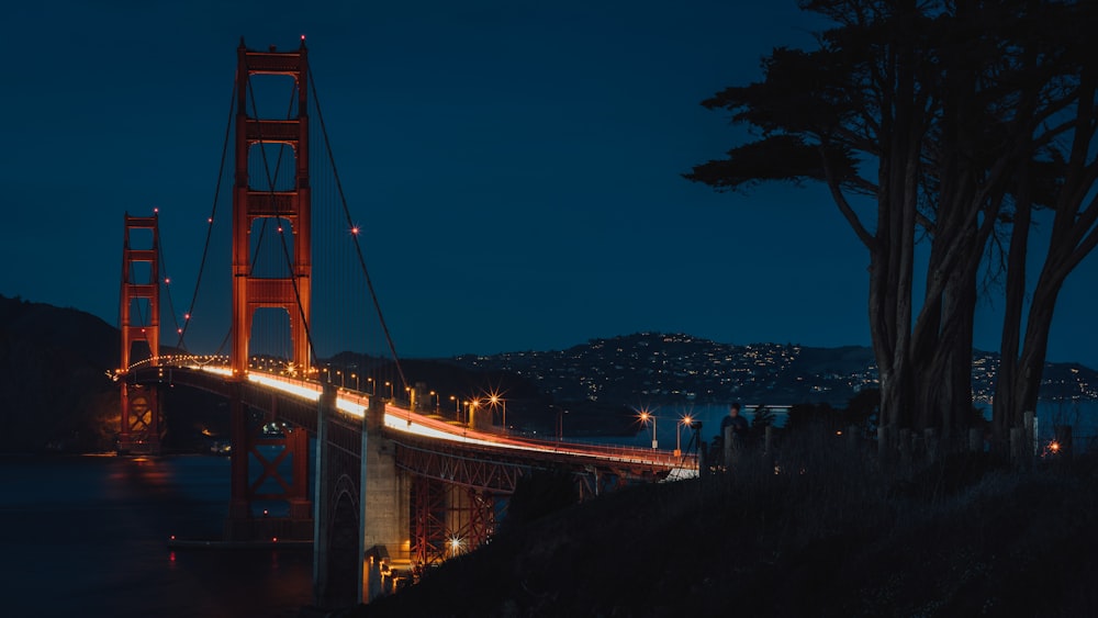 brown bridge near tree at nighttime