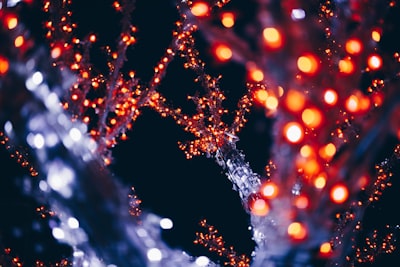 close-up photo of illuminated treee cupid zoom background