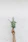 person holding green plants