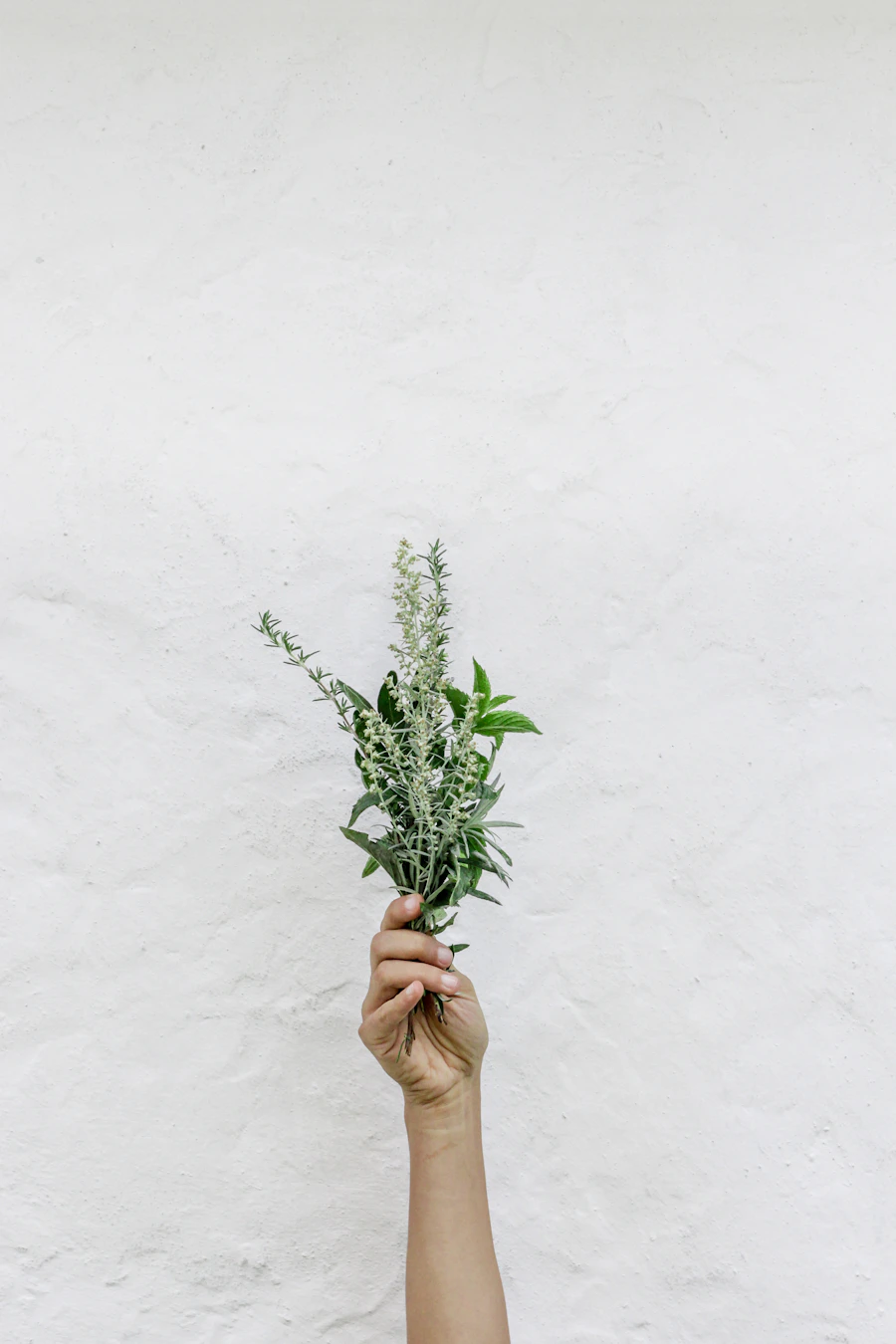 Person holding fresh green botanicals