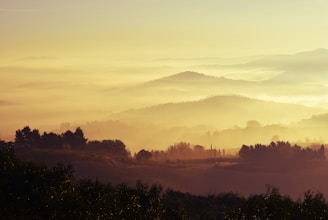 A peaceful sunrise over the rolling hills of Paulding County with morning mist.