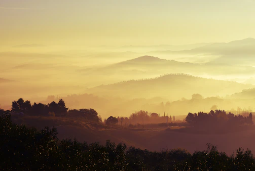 Soft rolling hills fading into a misty horizon at dawn.