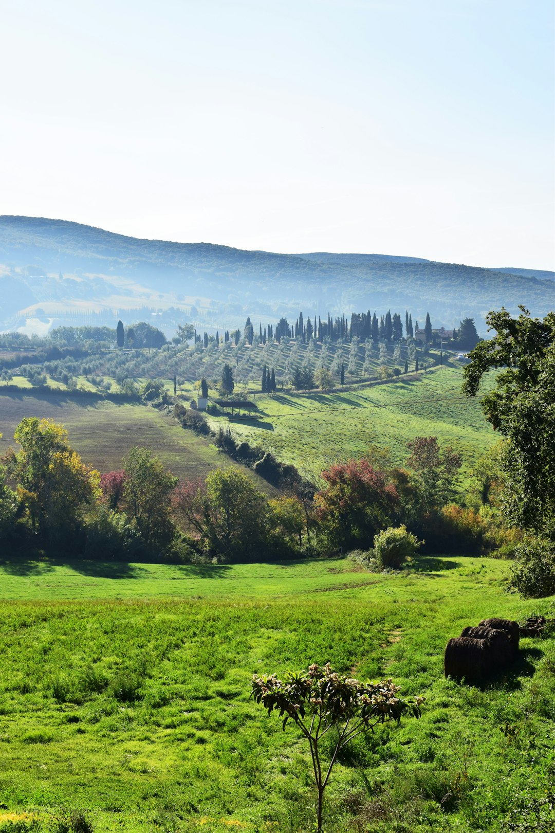 Hill photo spot Casale Marittimo San Quirico d'Orcia