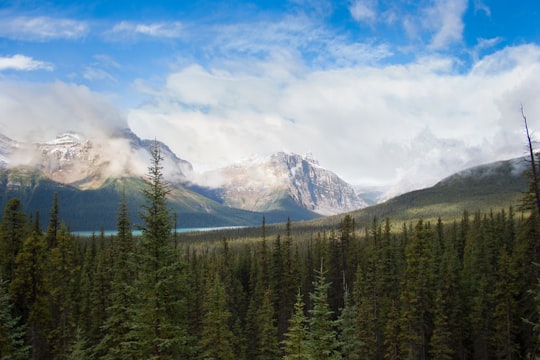 landscape photo of snow-capped mountain near river in Banff National Park Canada