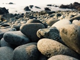 Close-up of smooth pebbles and seashells on a sandy beach.