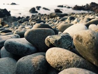 A close-up of smooth pebbles on a tranquil beach.